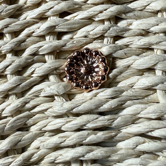 Lauren Conrad wicker bag cookie bag new - Picture 8 of 16